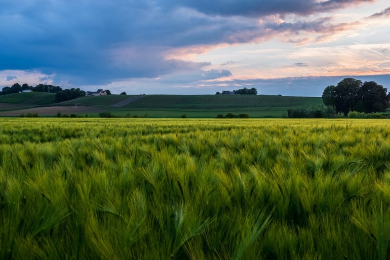 Natuur van zuid limburg
