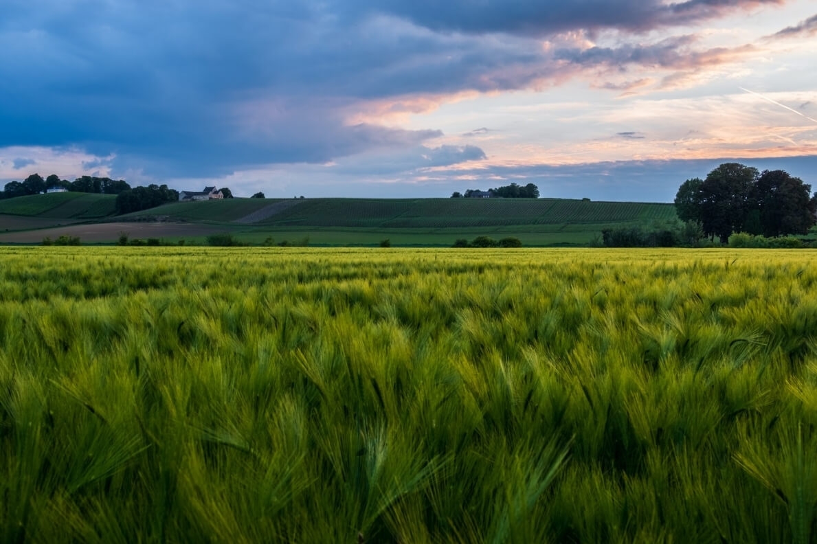 Wandern in Südlimburg